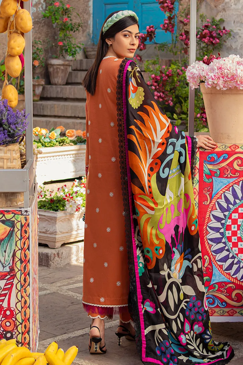 Mushq Tesoro Hemline Lawn Collection – Vivana